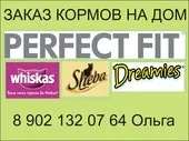Програма роботи з розплідниками - Клуб любителів котів Любимець г роботи
