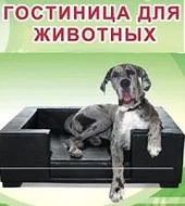 Програма роботи з розплідниками - Клуб любителів котів Любимець г любителів