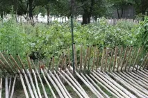 Прогулянки Манхеттеном, ФОТО НОВИНИ лише