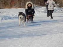 чували