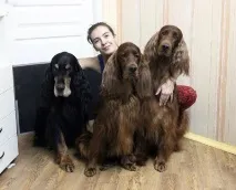 ламінування
