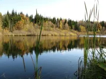 Перегляд поста - Відстояли ліс - відстоїмо і Батьківщину відстоїмо
