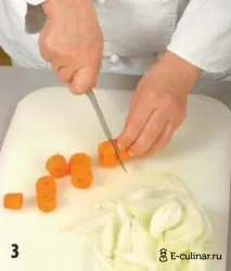 шлунків