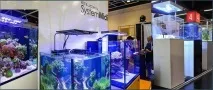 Морський акваріум акваріум