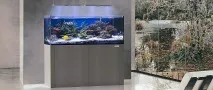 Морський акваріум морський