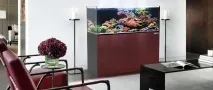 Морський акваріум ставках»