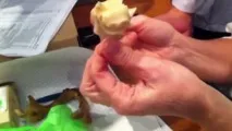 Гратчаста кістка черепа людини анатомія та будова, фото анатомія