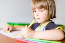 шульги