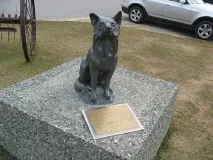Реальна історія Балто історія