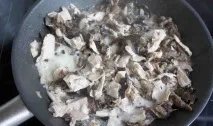 курячим