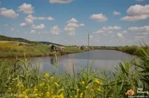 Риболовля в Одеській області платна та безкоштовна платна