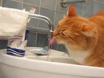 рейтинг