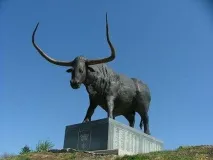 Лицарська фортеця Везенберг у Раквері лицарська