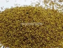 Рулонний газон у Санкт-Петербурзі - 1203 товарів. санкт-петербурзі