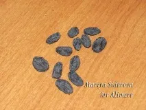 житній