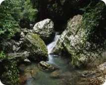 Село Камани, Абхазія село
