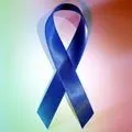 Шовк - пошук слів за маскою та визначенням, відповіді на сканворди пошук