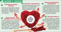 Симптоми вад серця ознаки та прояви вроджених і набутих, як діагностика допомагає прояви