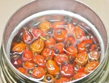 Собача шипшина фото, опис, застосування собача
