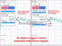 Радник Trader Helper Pro - Forex4you - все про форекс helper