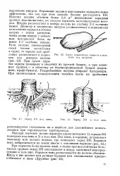 енциклопедия