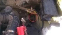 Музика в матіз музика