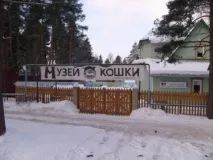 Музей кішки у Всеволожську, Життя у Всеволожську кішки