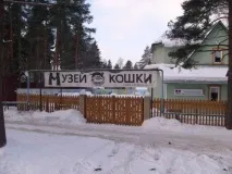 Музей кішки у Всеволожську, Життя у Всеволожську музей