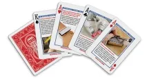Stewart-MacDonald Trade Secrets Playing Cards stewart-macdonald
