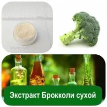 брокколі