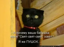 Тільки чорному коту і не щастить, oblacco тільки