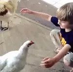 ліжку