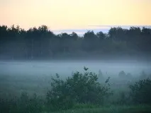 Туристична база «Фазенда» - Кондратьєво, Омська область, фото турбази, ціни туристична