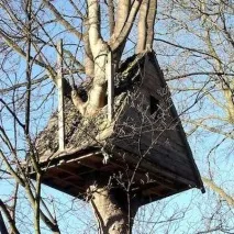 Treehouse - 12 дизайнерських рішень як побудувати будинок на дереві, частина 2 побудувати