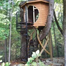 Treehouse - 12 дизайнерських рішень як побудувати будинок на дереві, частина 2 дереві