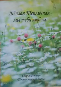 Вулиця Теплична - Вулиця Відмінна, МБДОУ Дитячий садок комбінованого вигляду № 85 теплична