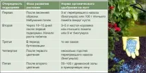 Догляд за трояндами навесні на дачі добриво, обрізання та мульчування добриво