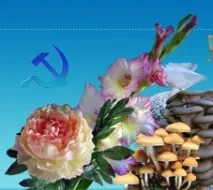 Як зібрати простий пристрій для плетіння сітки. зібрати