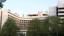 знесуть