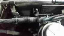 кришки
