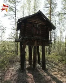 За Тунгуським метеоритом полювали не там (12 фото) метеоритом