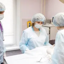 Зооніка, ветеринарна клініка у Красноярську на Весняна, 12 — відгуки, адреса, телефон, фото весняна
