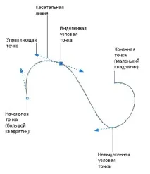 НОУ ІНТУІТ, Лекція, Основи векторної графіки інтуіт