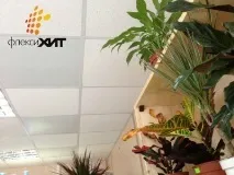 Огляд органічних утеплювачів пробкова теплоізоляція утеплювачів