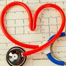 Серцева недостатність у котів, Що з серцем котів