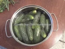 Огірки, мариновані в червоній смородині, Країна Майстрів смородині