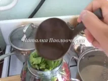 Огірки, мариновані в червоній смородині, Країна Майстрів смородині