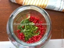 Огірки, мариновані в червоній смородині, Країна Майстрів мариновані