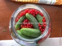Огірки, мариновані в червоній смородині, Країна Майстрів огірки