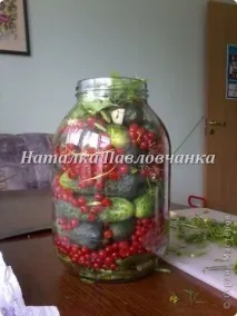Огірки, мариновані в червоній смородині, Країна Майстрів смородині
